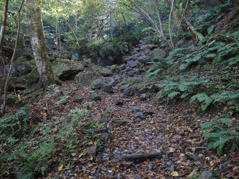 20181115hike (52)
